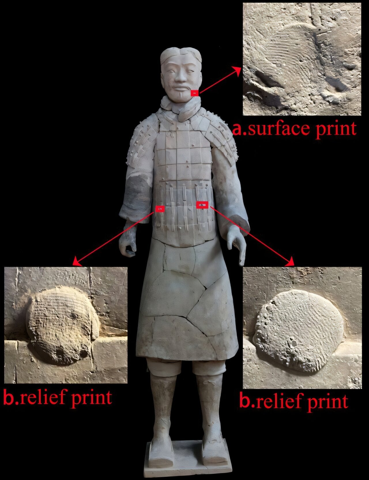 Fingerprints on terracotta figurine