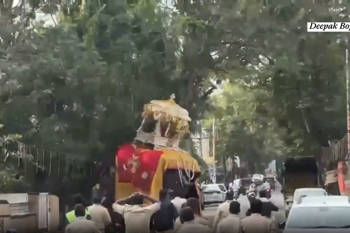 Sacred elephant carrying 650kg shrine rampages during Navaratri procession