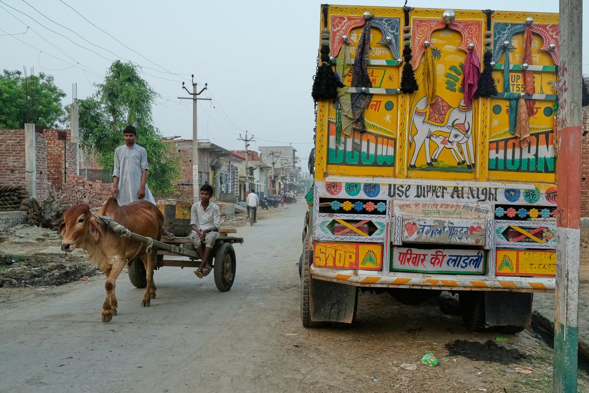 Takeaways from AP investigation into police shootings of alleged cow smugglers in India
