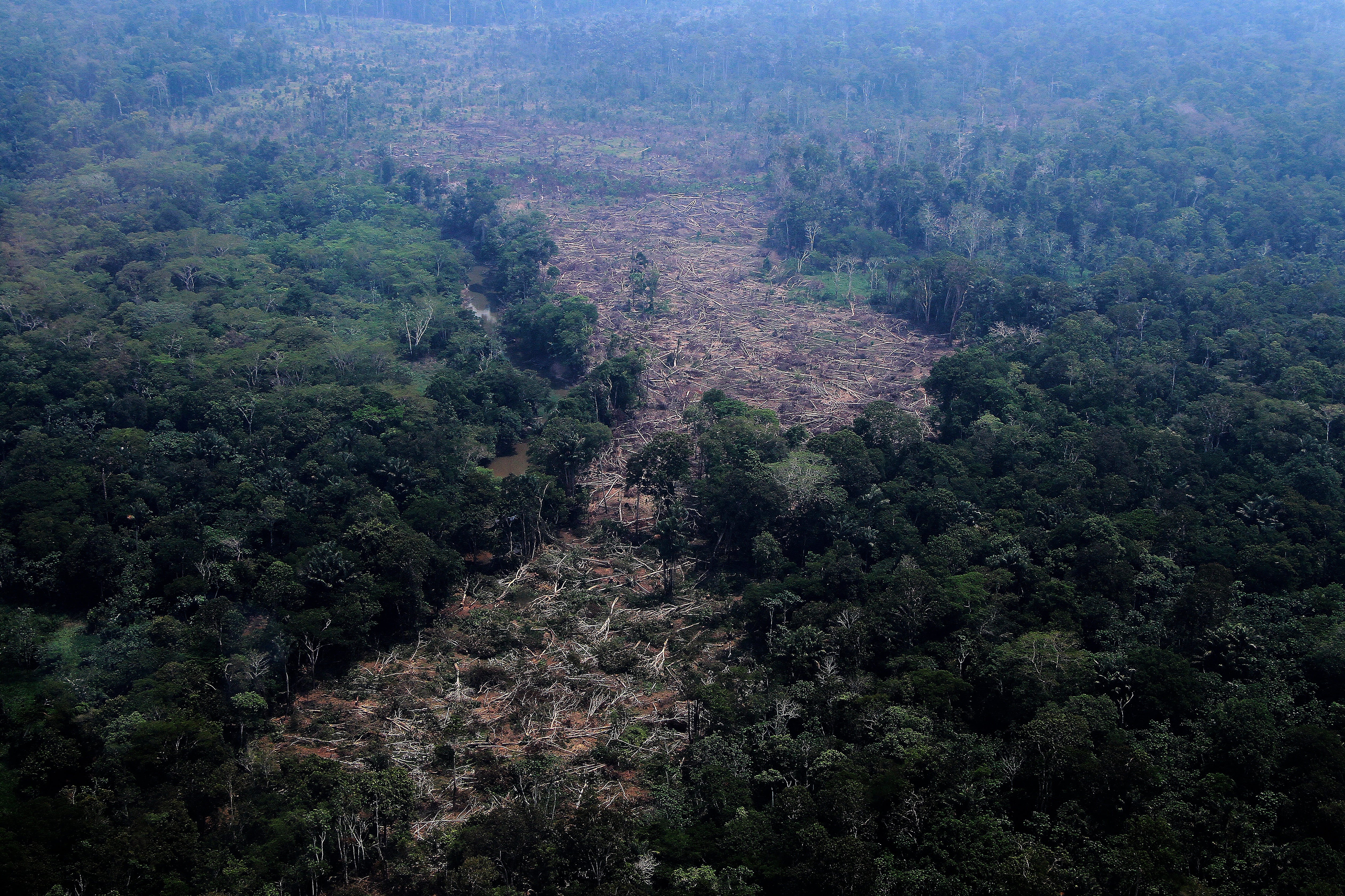 How close is the Amazon to a 'tipping point?' Brazil’s election could ...
