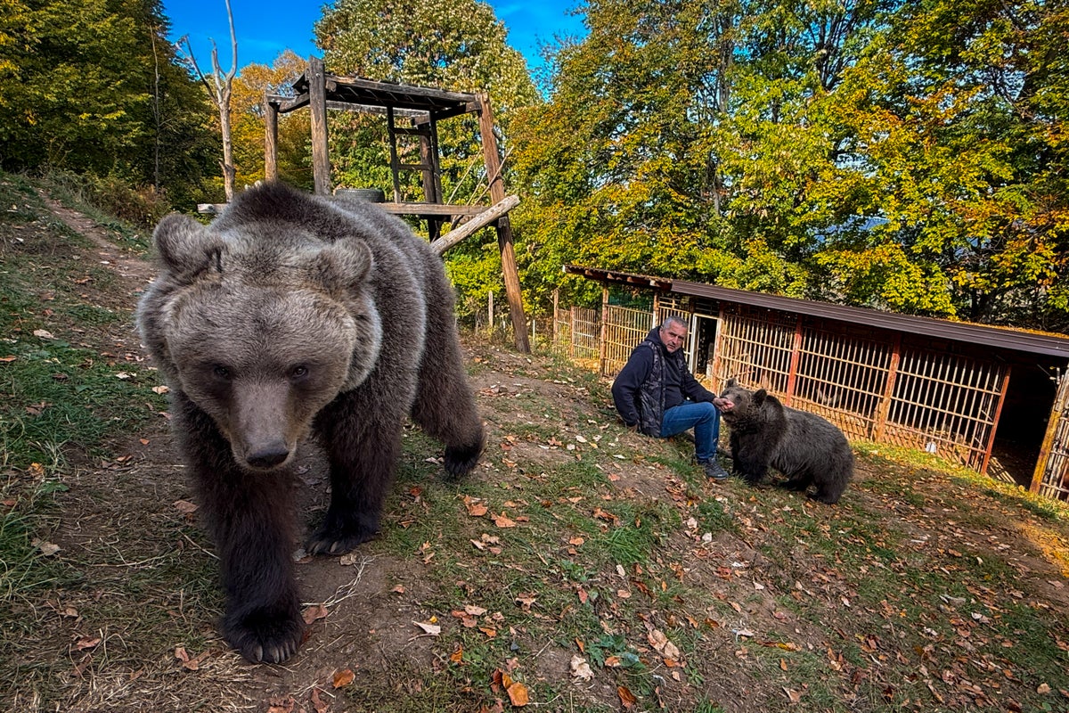 A Bosnian man rescued an abandoned bear cub. Now they're inseparable