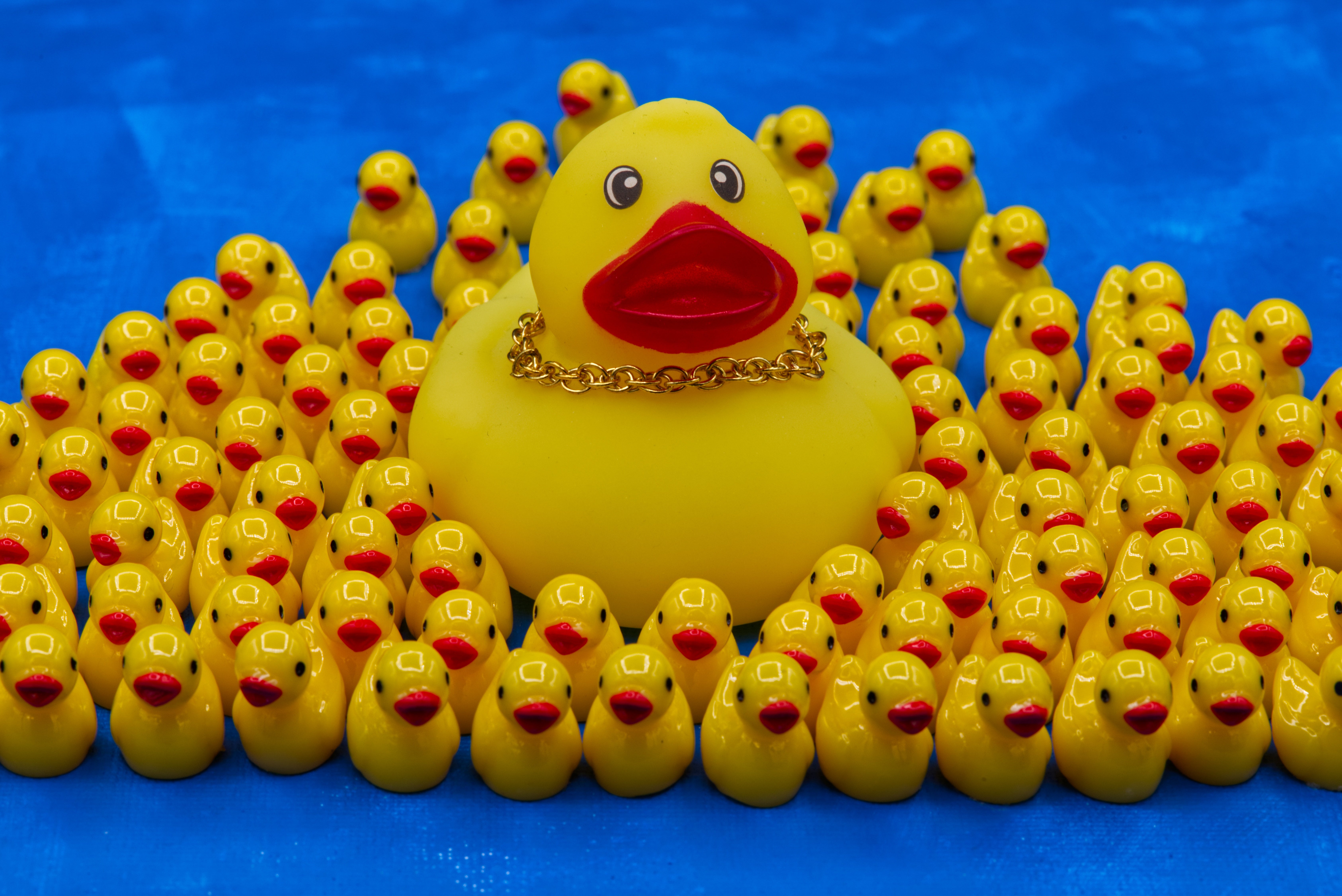 What are ya — yellow? The rubber duck carries filaments of American history in its 'feathers'