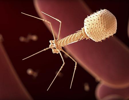 California startup says it has injected AI-designed virus into humans for first time
