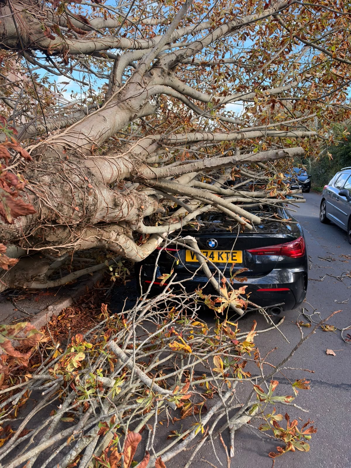 Storm Austen: Poole man 'lucky to be alive' after falling tree crushes car