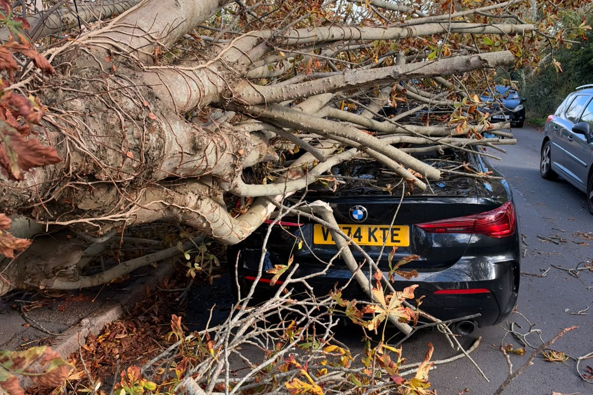 Storm Austen: Poole man 'lucky to be alive' after falling tree crushes car