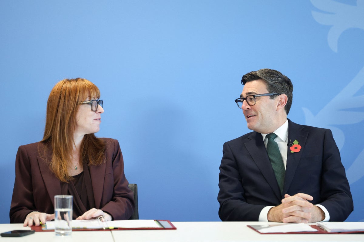 Rayner says PM considering all options on relationship with EU