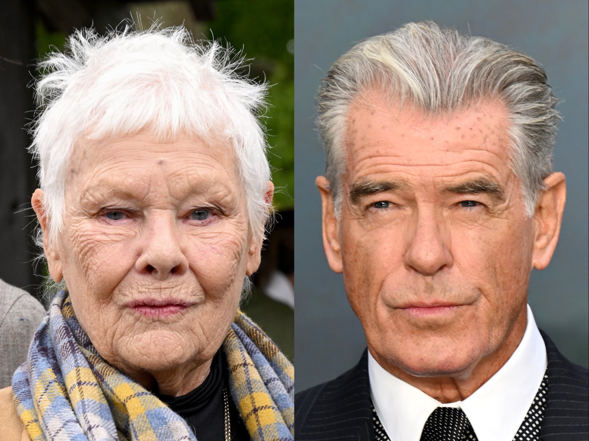 Dame Judi Dench and Pierce Brosnan