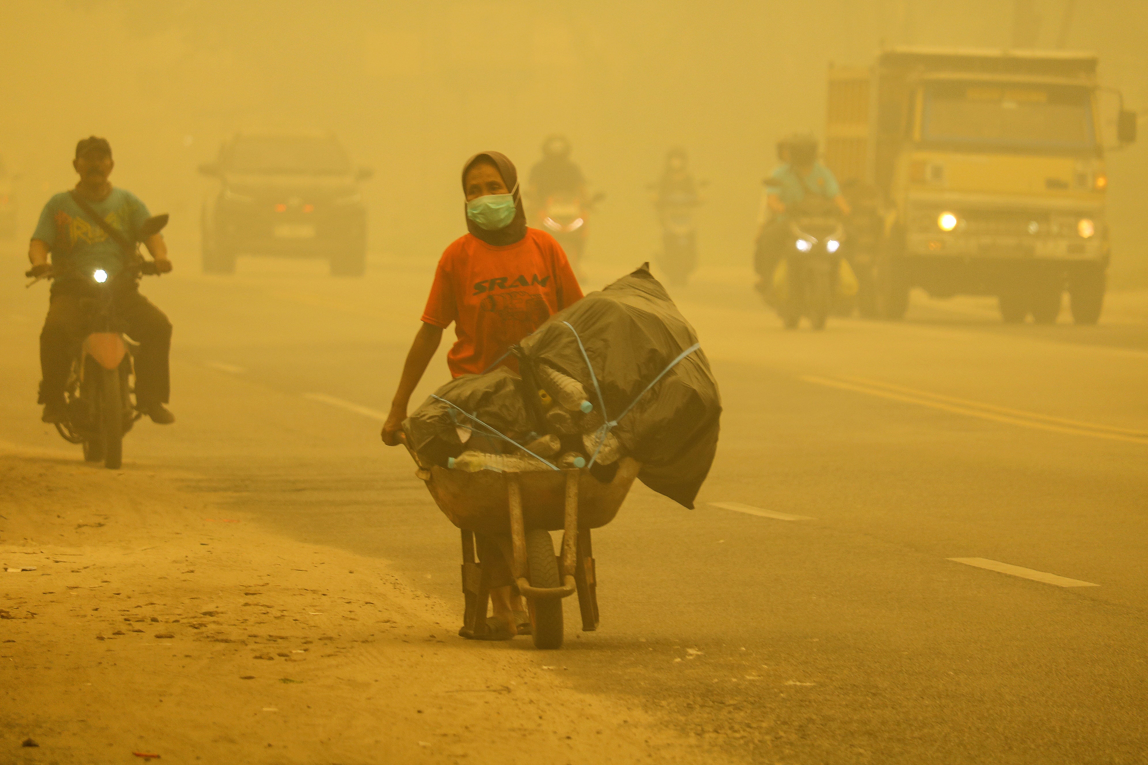 independent.co.uk - Stuti Mishra - Indonesia cuts gas exports to Singapore amid row over haze
