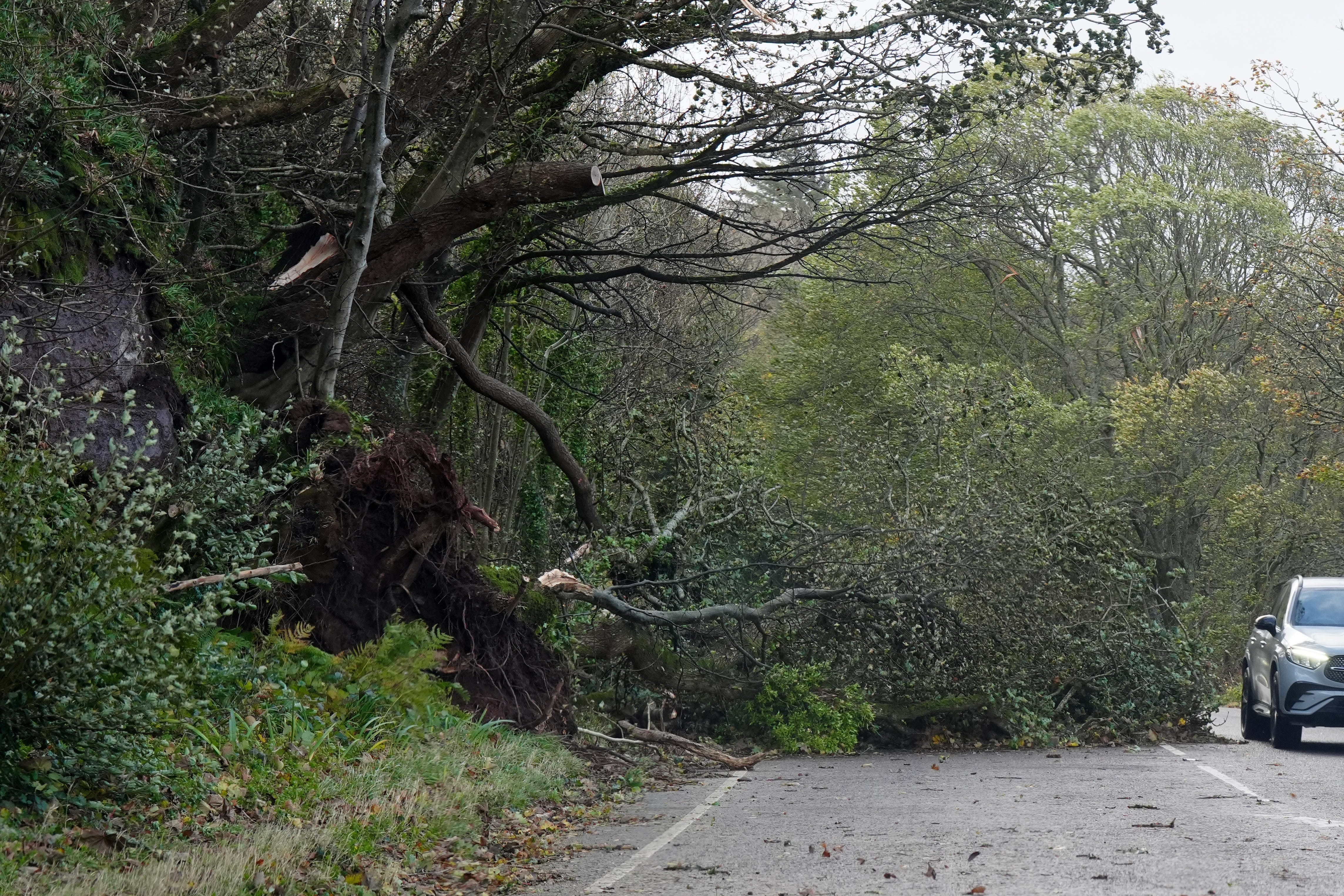 A fallen tree on Cloch Road near Inverkip, after Storm Boelo passed through the area (Jane Barlow/PA)