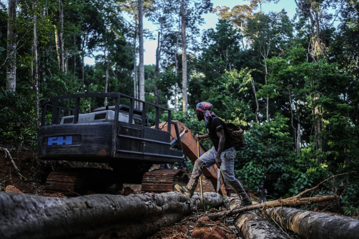 Suriname’s Saamaka tribe turns to mapping and documenting in effort to protect the Amazon rainforest