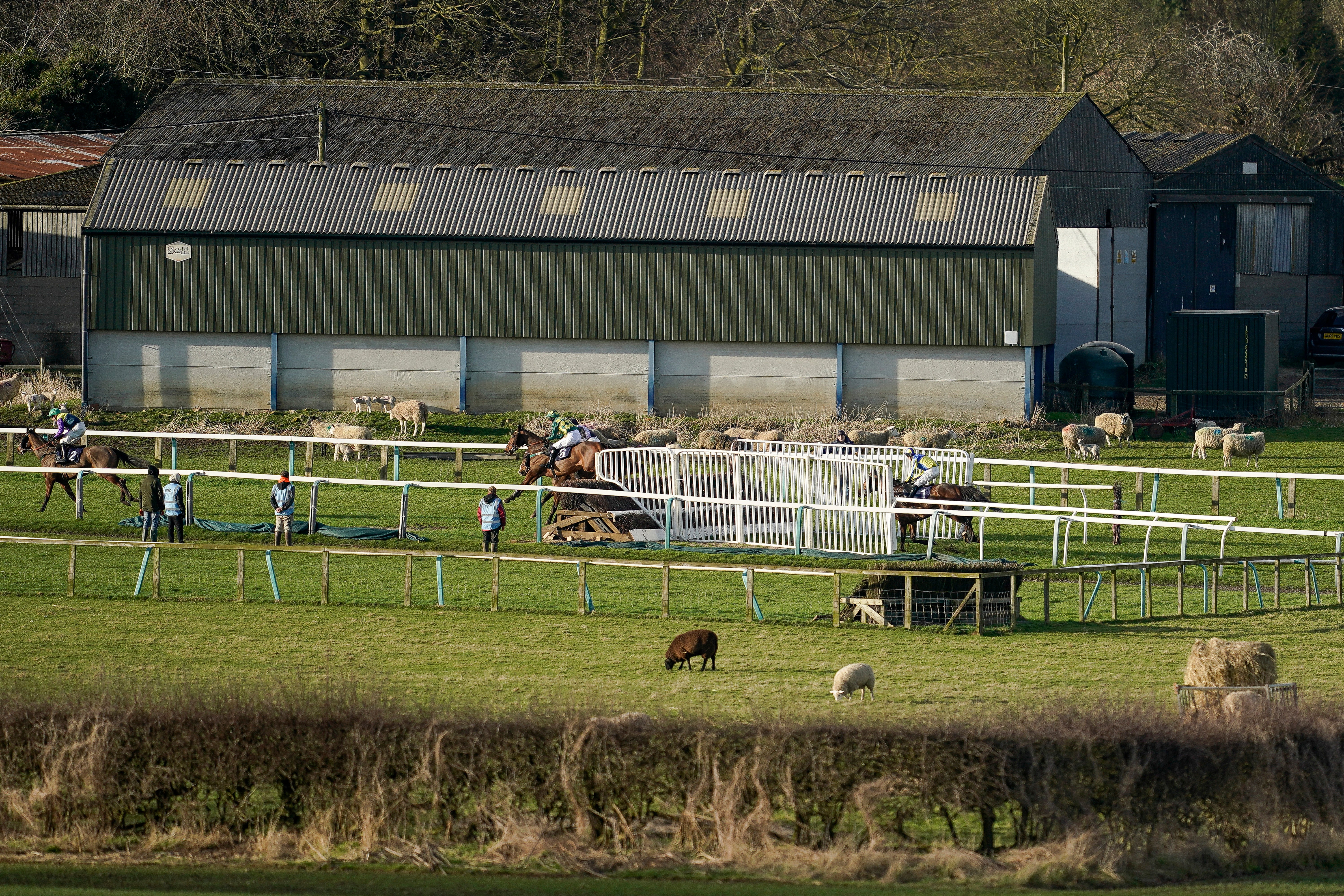 jockey