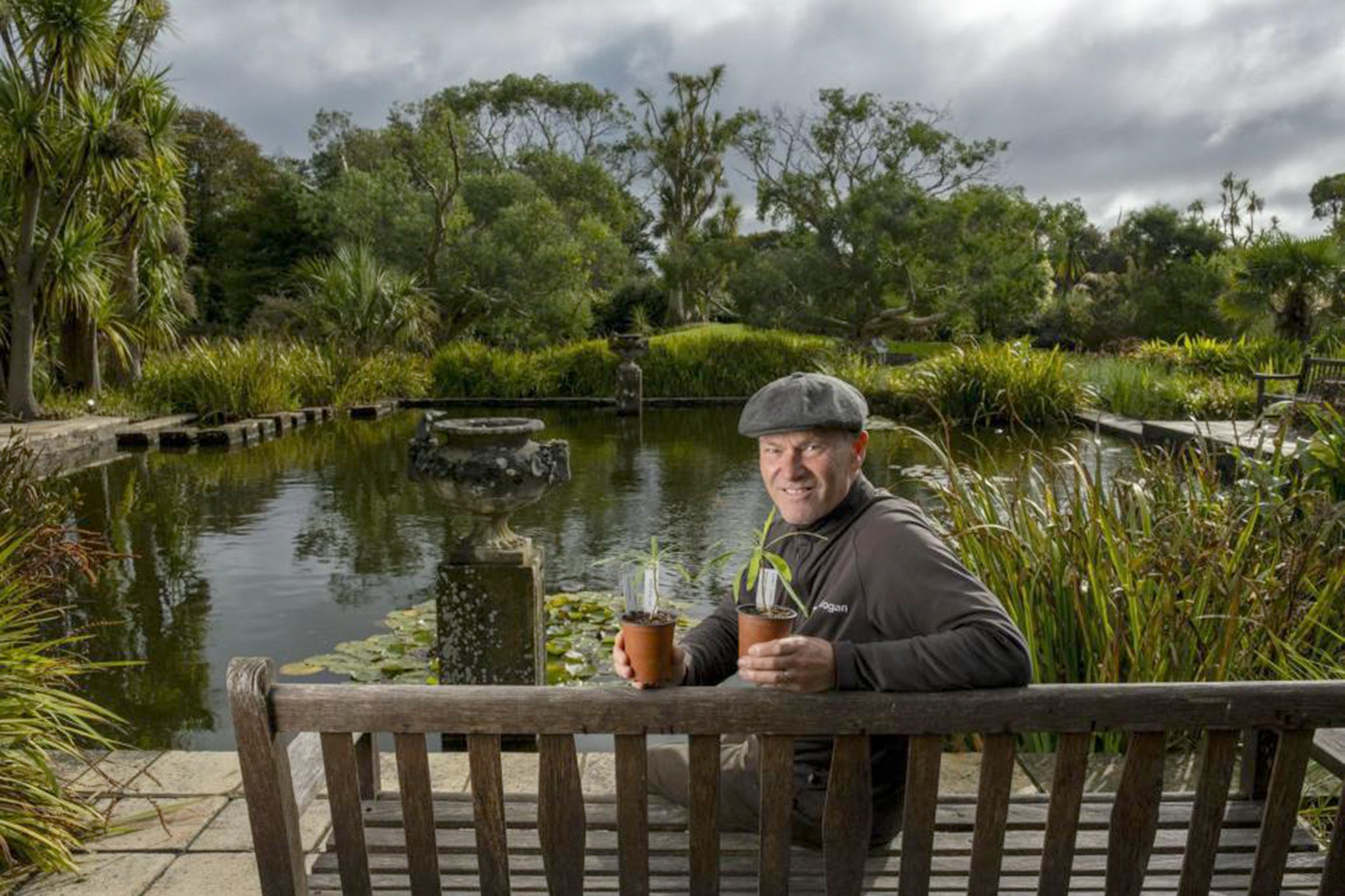 Storm Boelo: Curator killed by falling tree while walking near Scottish ...