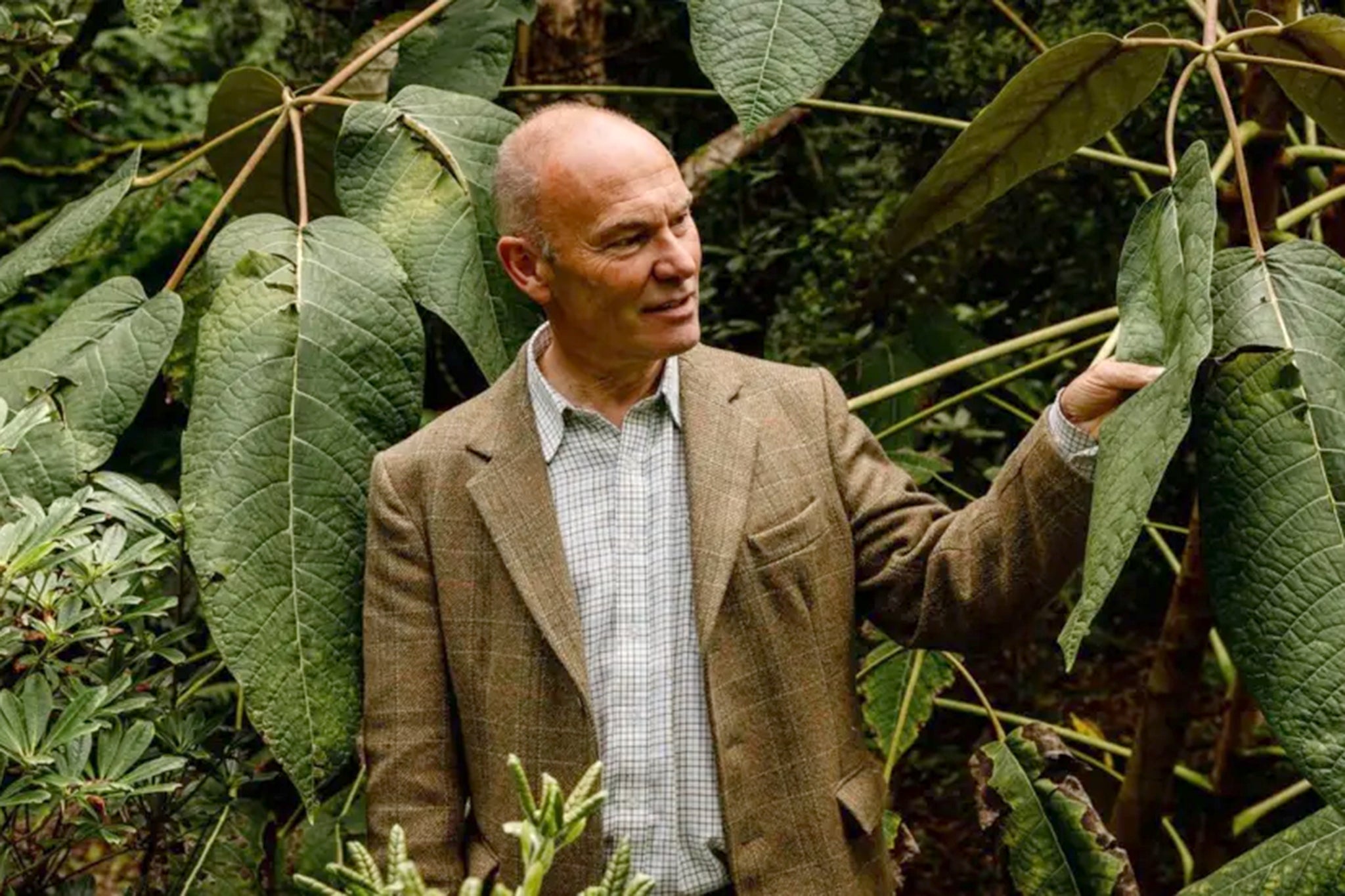 Richard Baines, curator of Logan Botanic Garden, was killed by a falling tree during Storm Boelo