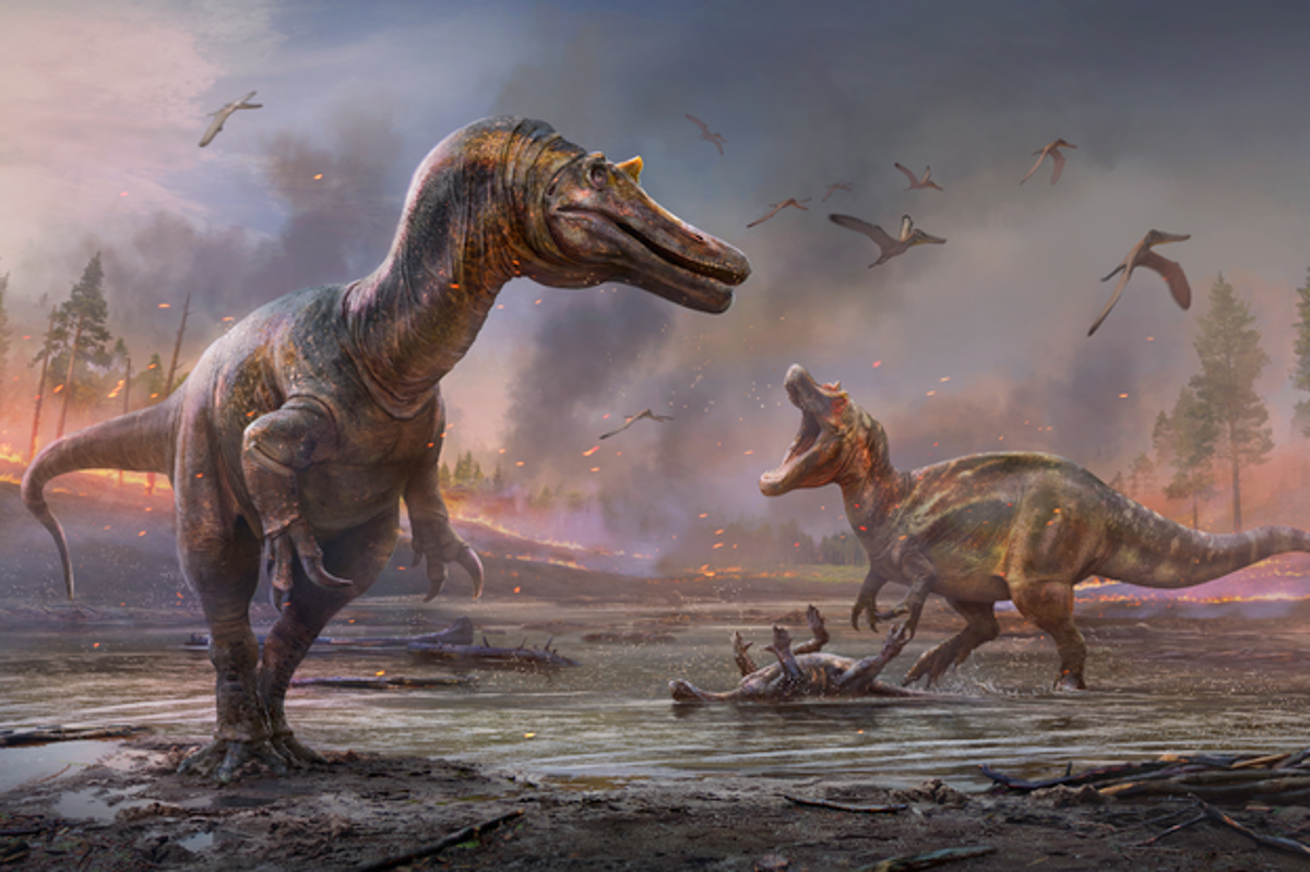 Iconic dinosaur featured in Jurassic Park III spent most of its life underwater, study finds