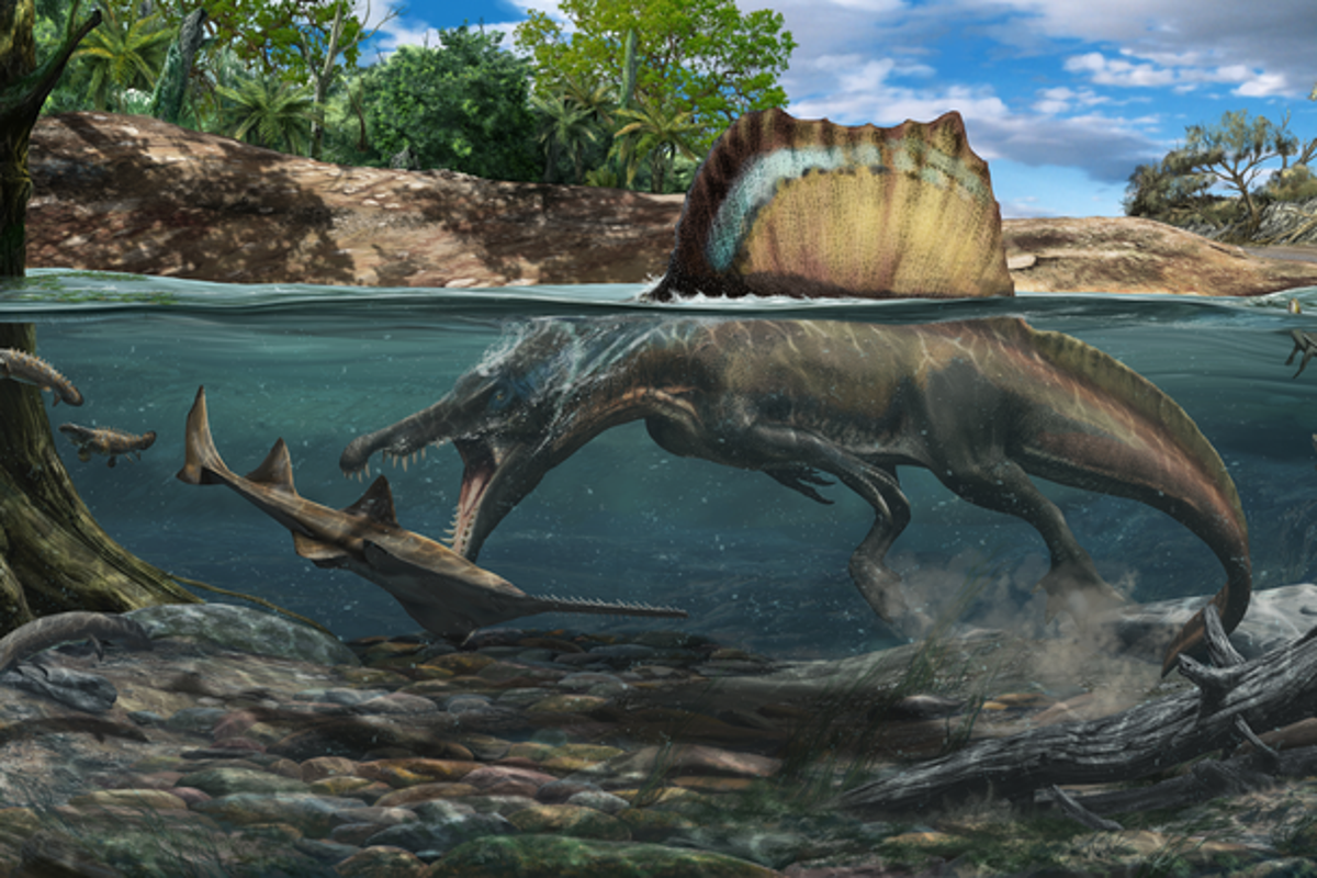 New research challenges what we know about Jurassic Park dinosaur