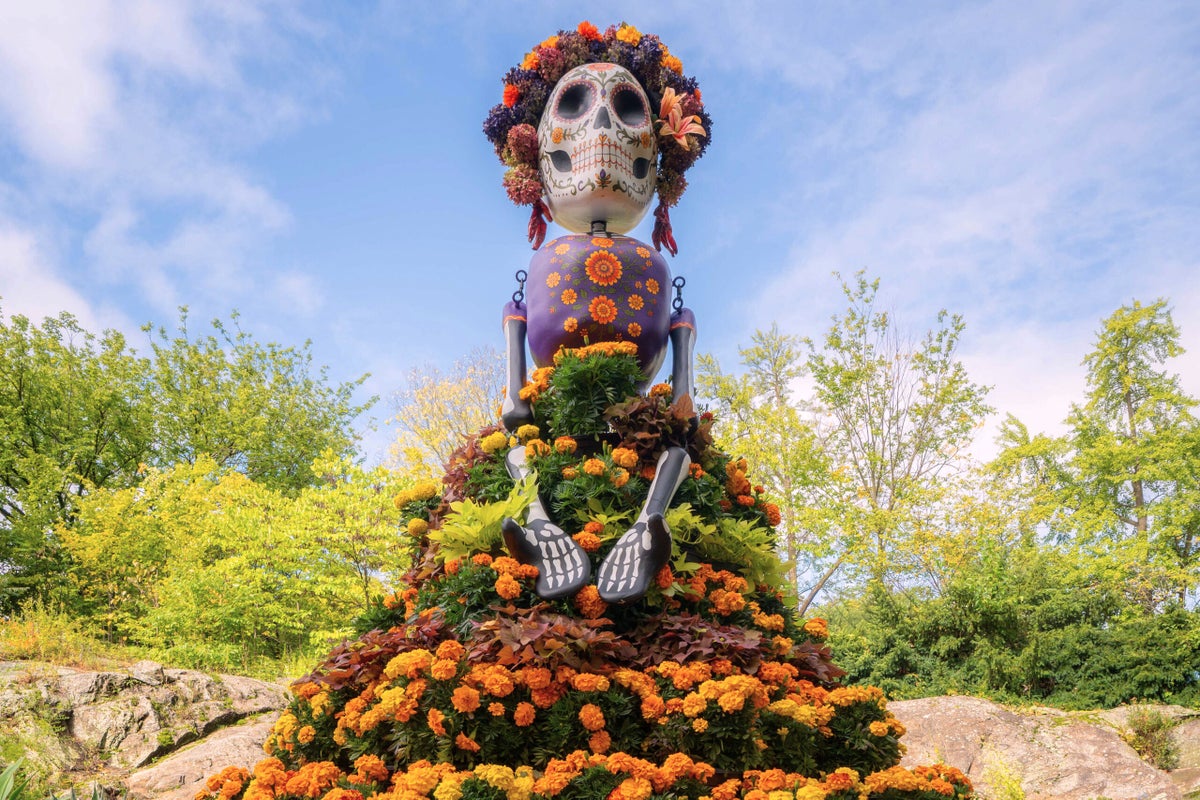 Marigolds anchor Día de los Muertos altars, believed to guide spirits ...