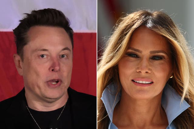 Elon Musk received his U.S. citizenship in 2002, and Melania Trump was naturalized four years later ( Getty )