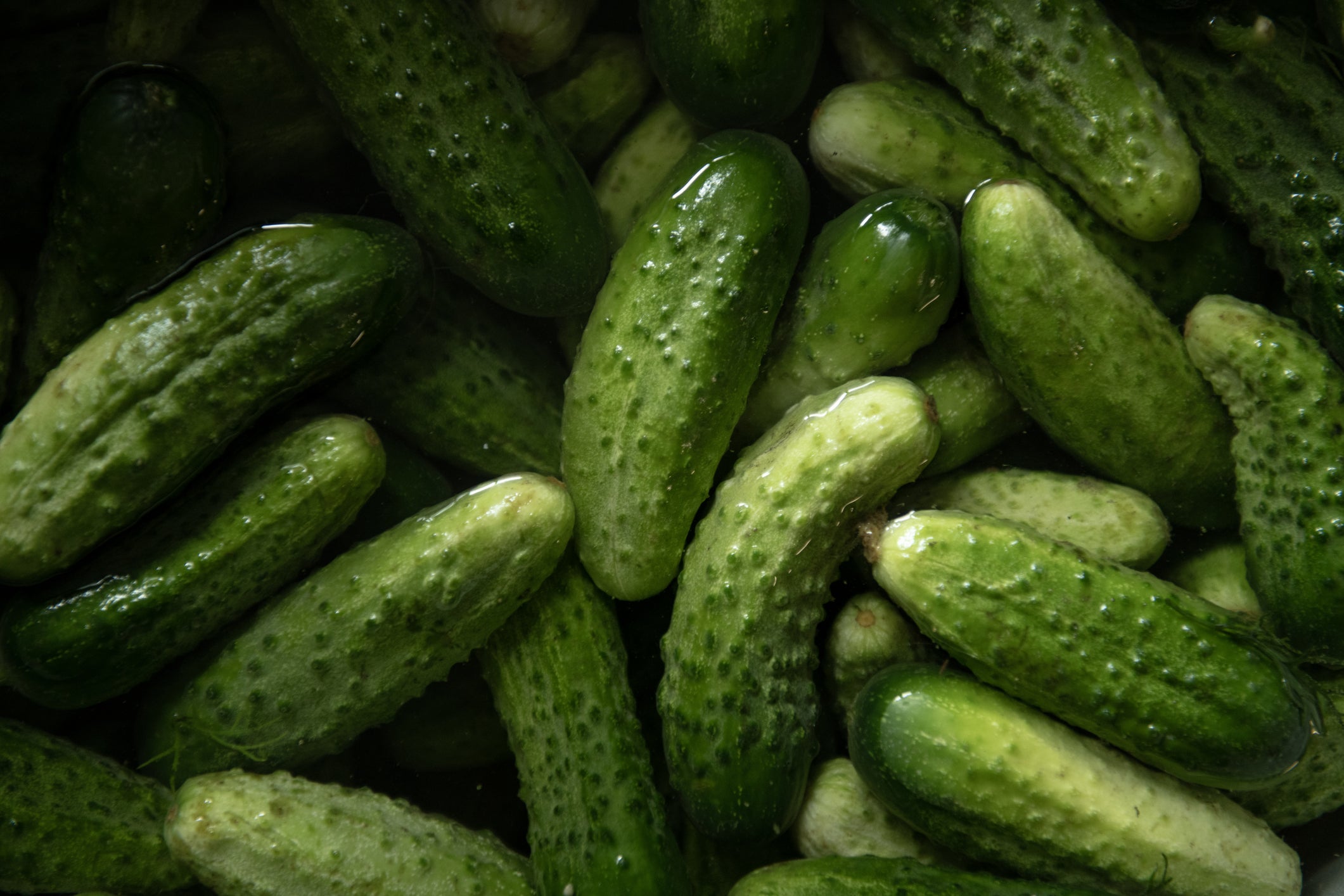 <p>The government hopes cheaper gherkins will help ease the cost of living</p>