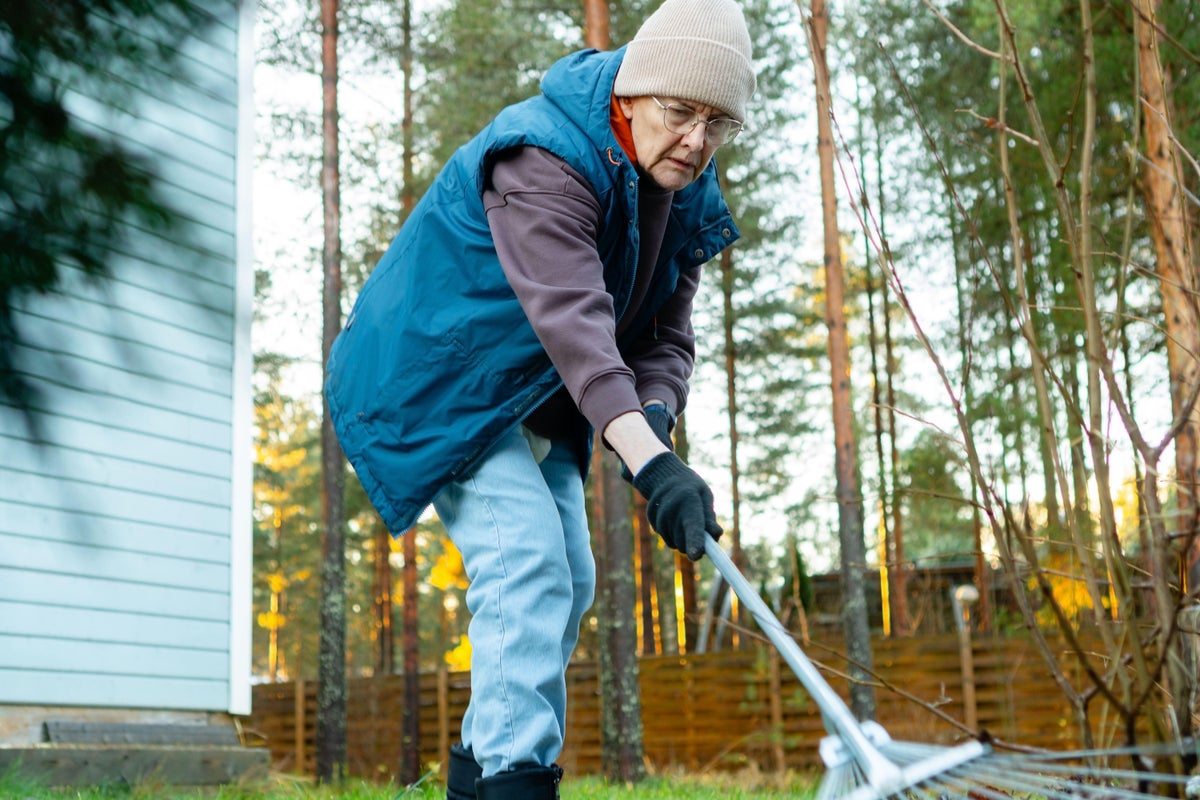 5 key gardening jobs to do before Christmas