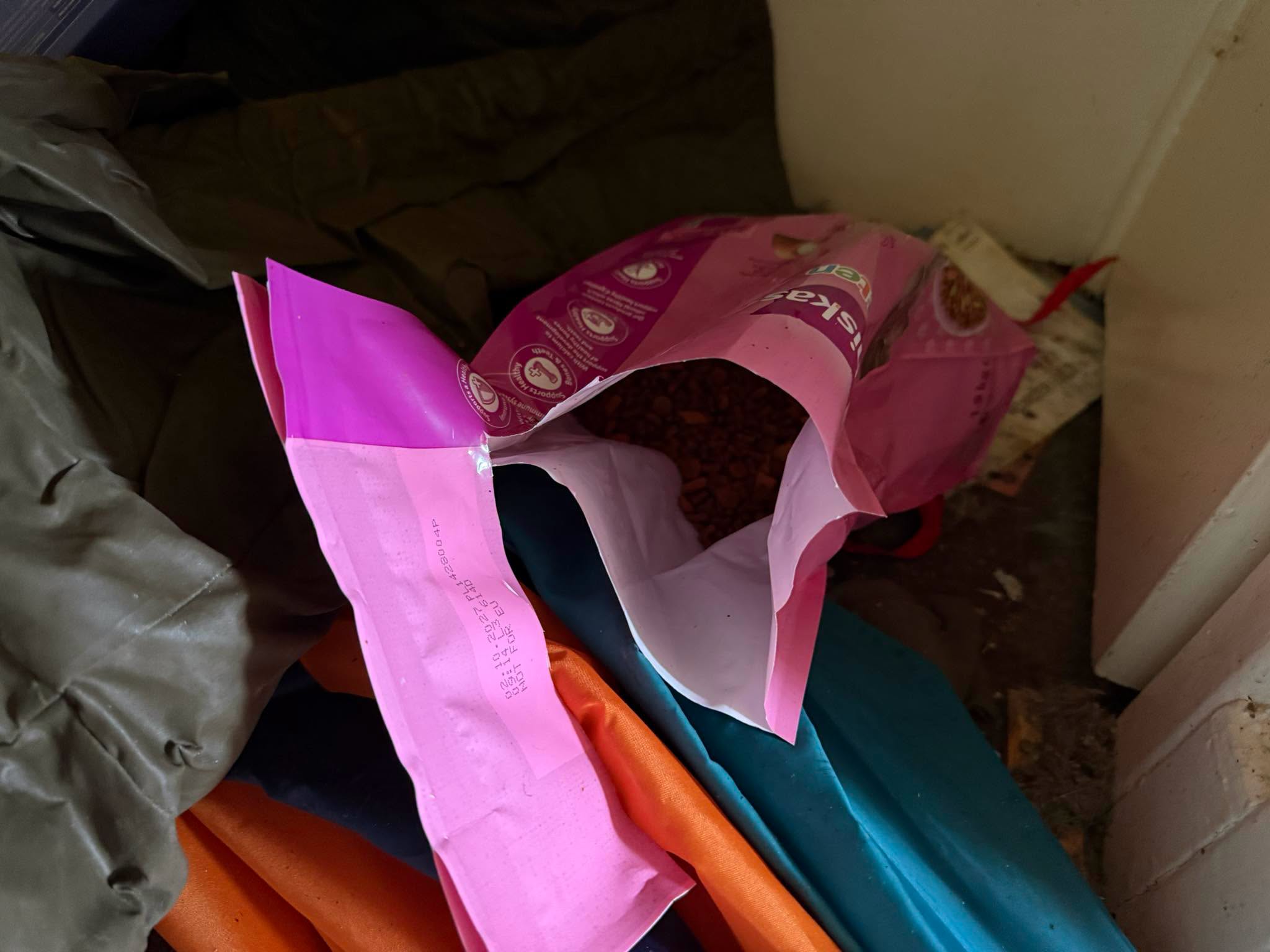 Police did not retrieve Nibbles from the home, despite the clear evidence a cat lived there