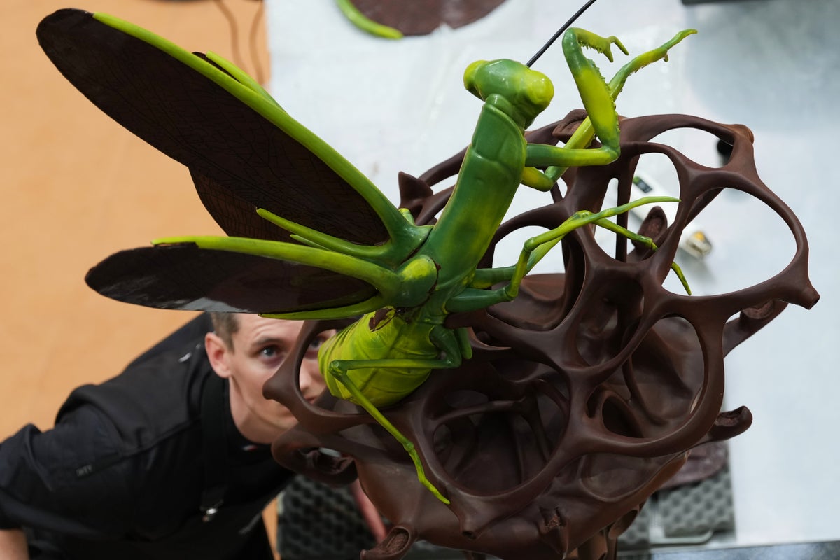 Photos of chocolate transformed into creatures at the World Chocolate Masters in Belgium