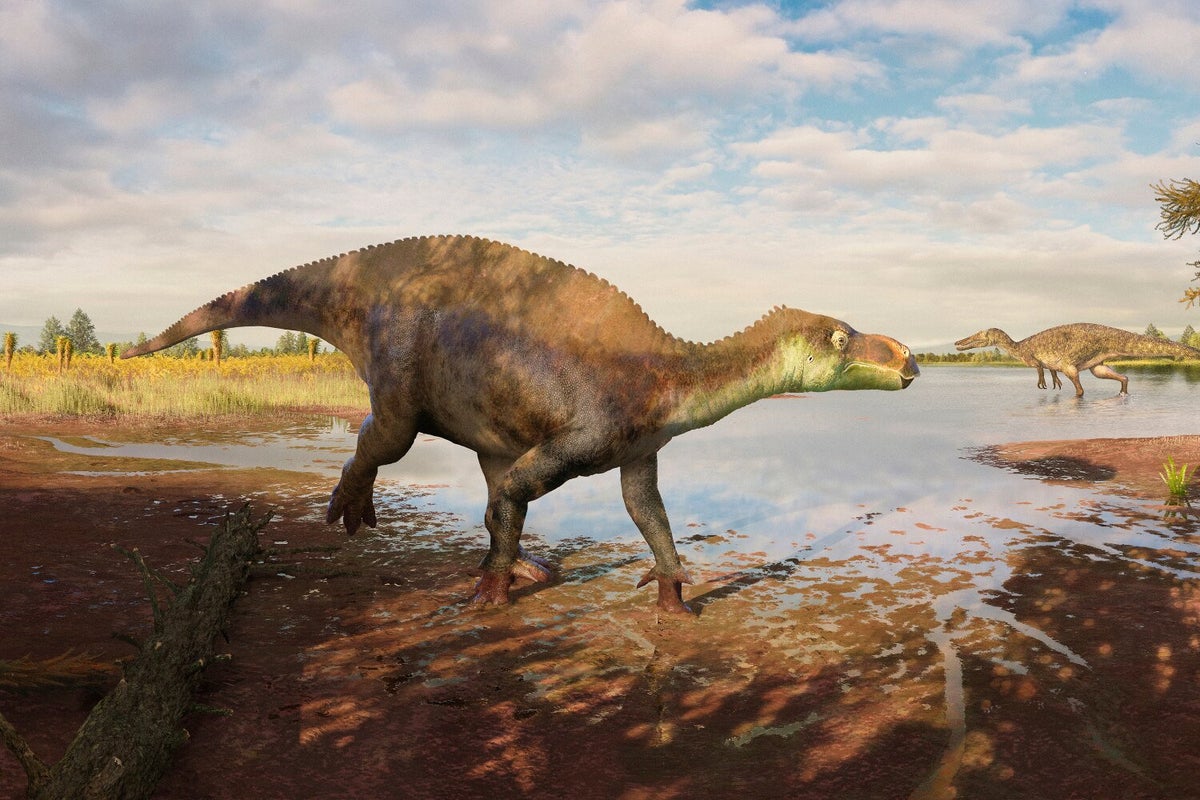 Swamp dinosaur that roamed England’s wetlands 125 million years ago identified from Surrey brickworks fossil