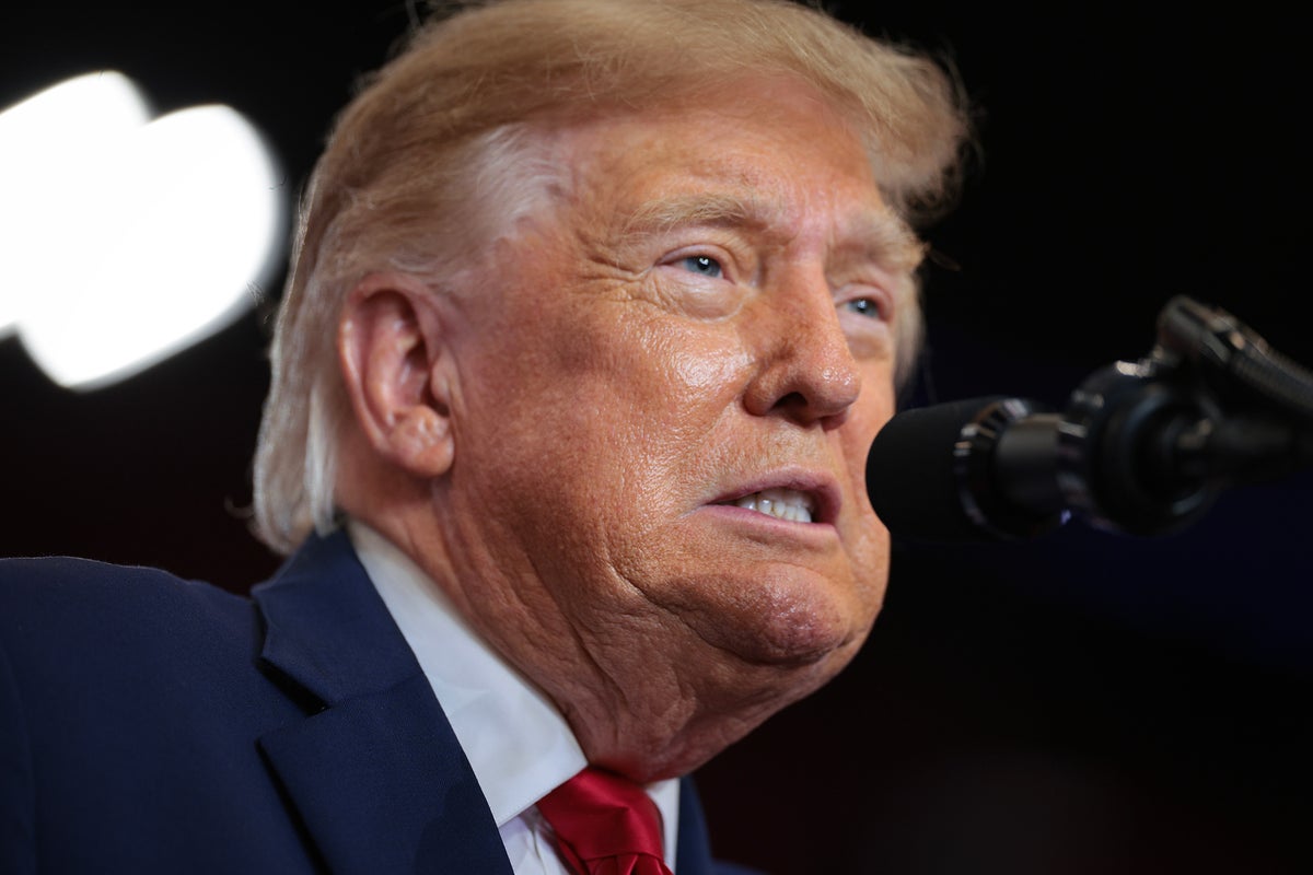 Trump criticized over 'highly unusual' posts about Canada elections - The Independent