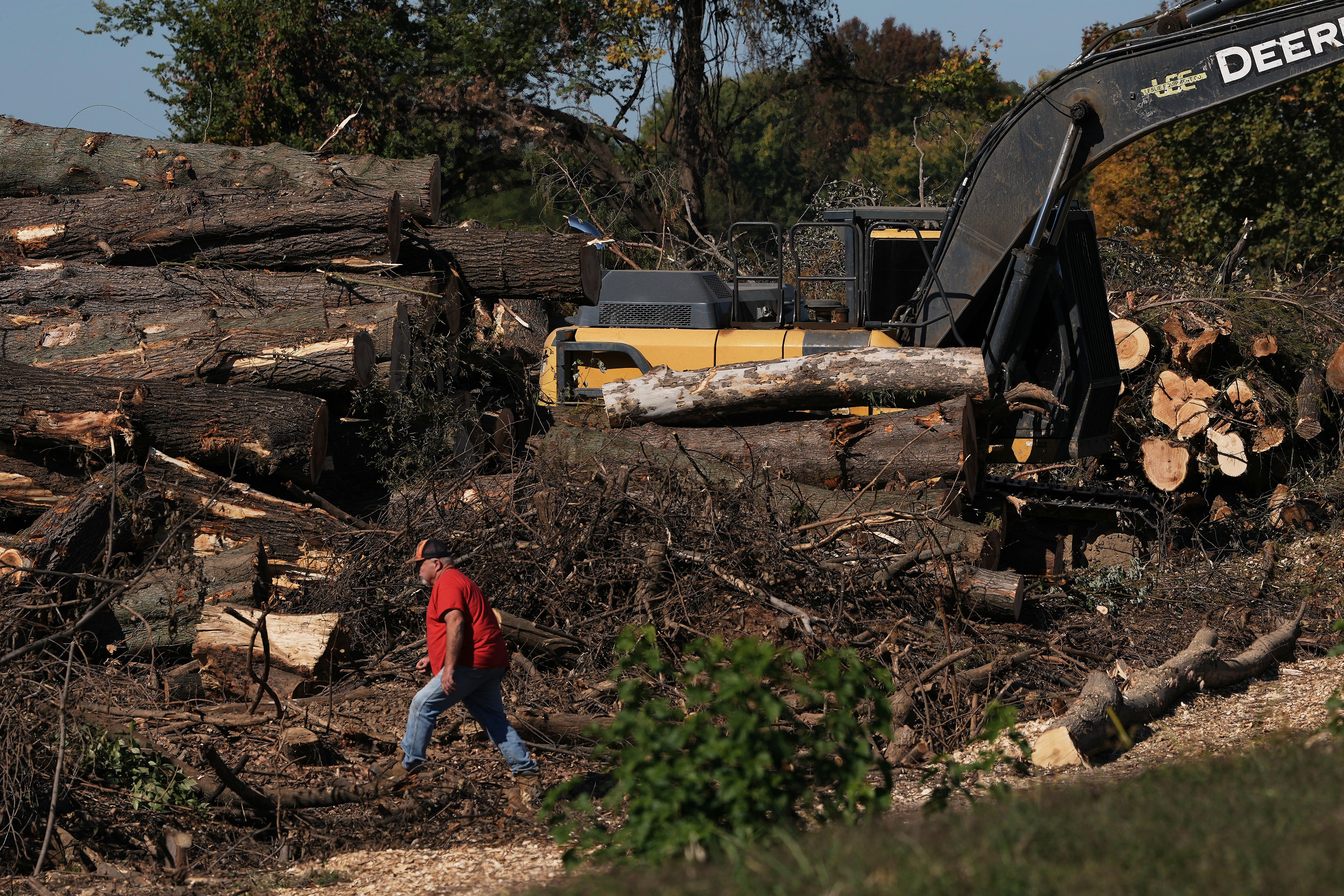 Workers remove trees at East Potomac Park Golf Course, Monday, Oct. 26, 2026, in Washington