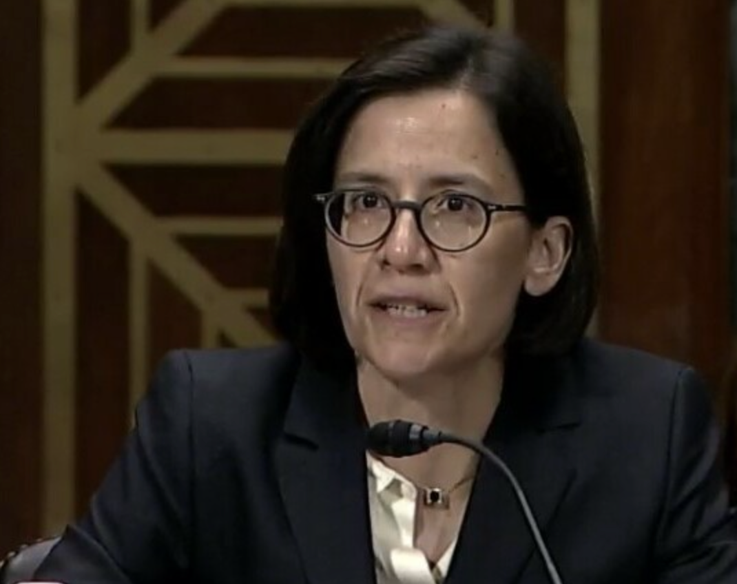 Judge Ana Reyes limited the Trump administration's ability to carry out renovations to the park