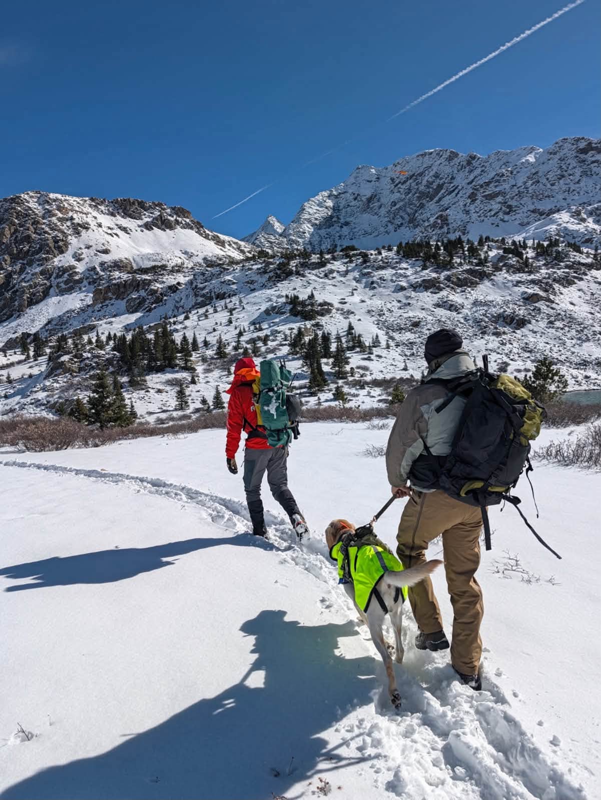 Bodies of two college students who vanished on hike in Colorado found ...