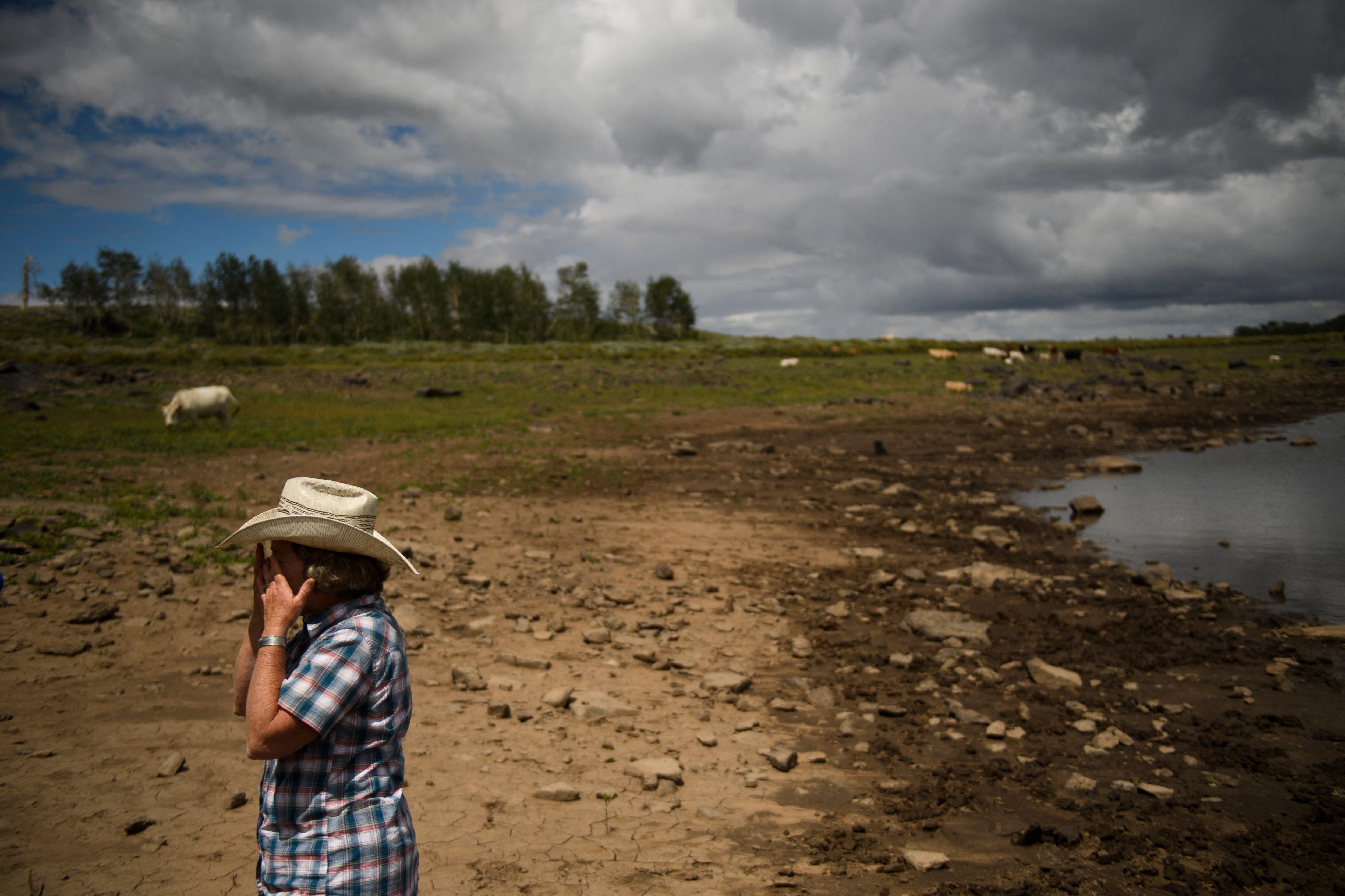 Denver’s Board of Water Commissioners has received a staff proposal creating a 15-person lawn patrol for next summer to enforce water restrictions amid worsening drought conditions