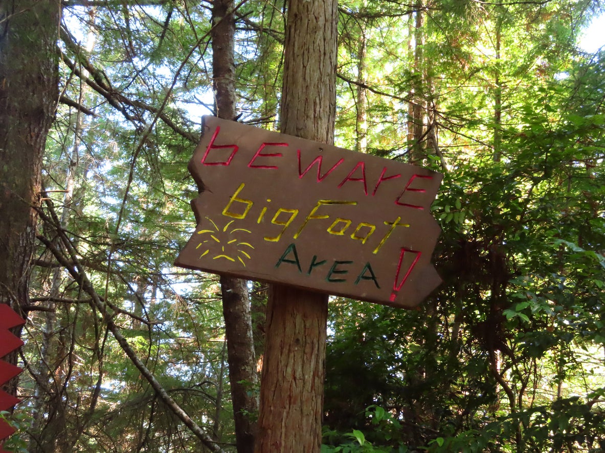 Is Bigfoot hiding out in New Jersey? These Sasquatch hunters have a hunch