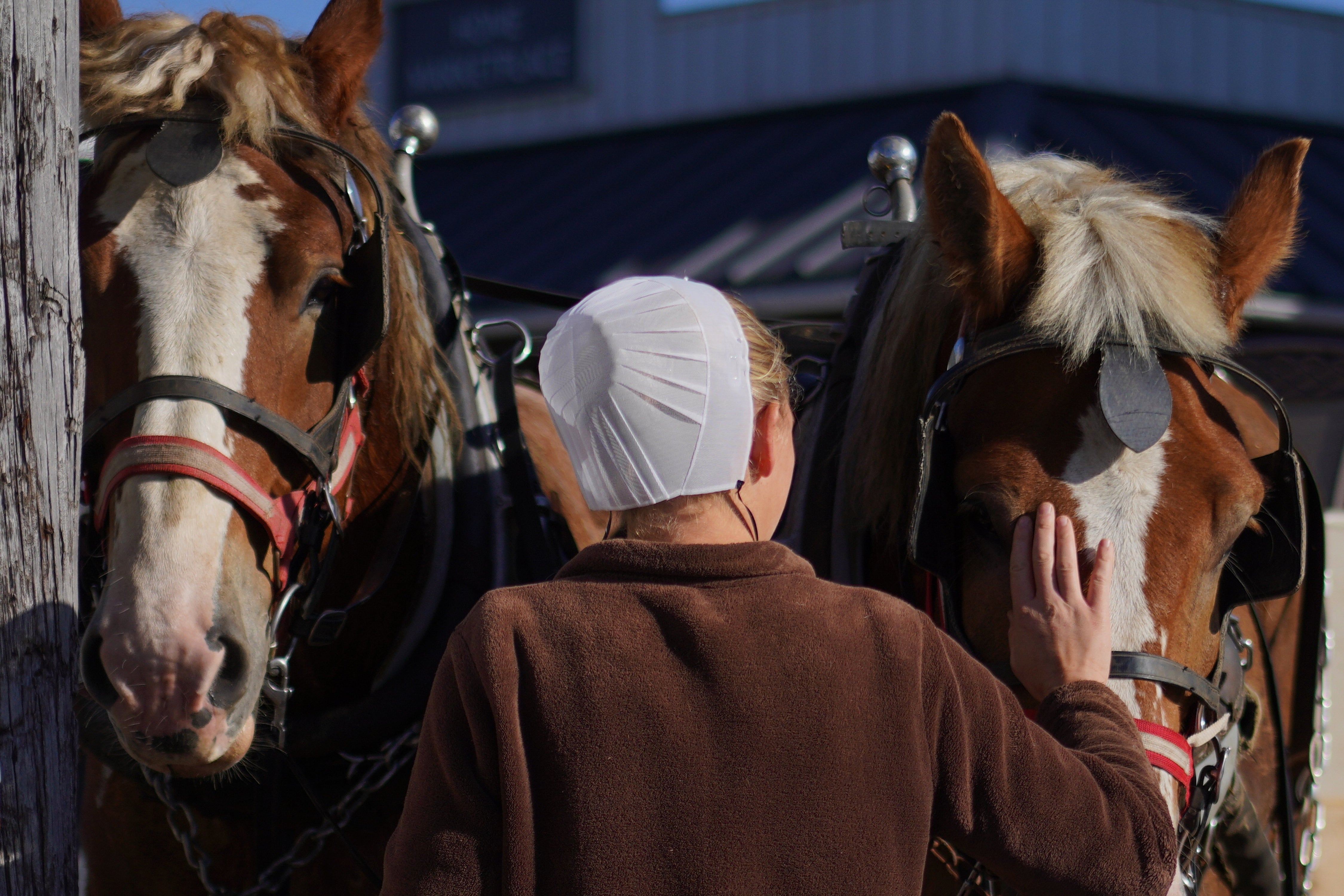 Lancaster County, home to the largest Amish population in the U.S., is now the epicenter of the nation’s worst measles outbreak in 35 years
