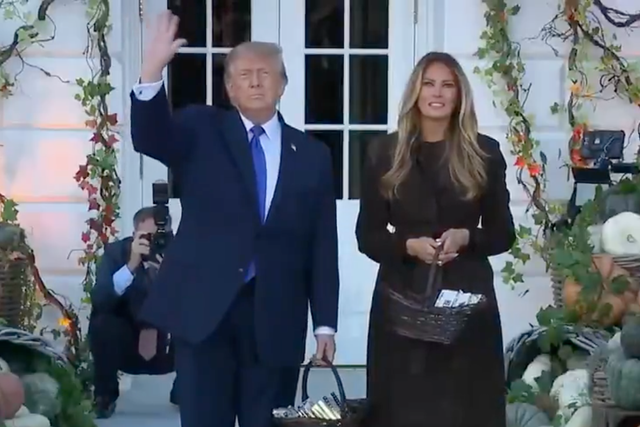 President Trump and First Lady Melania Trump were seen watching the presidential plane fly over the White House ( X/Rapid Response 47 )