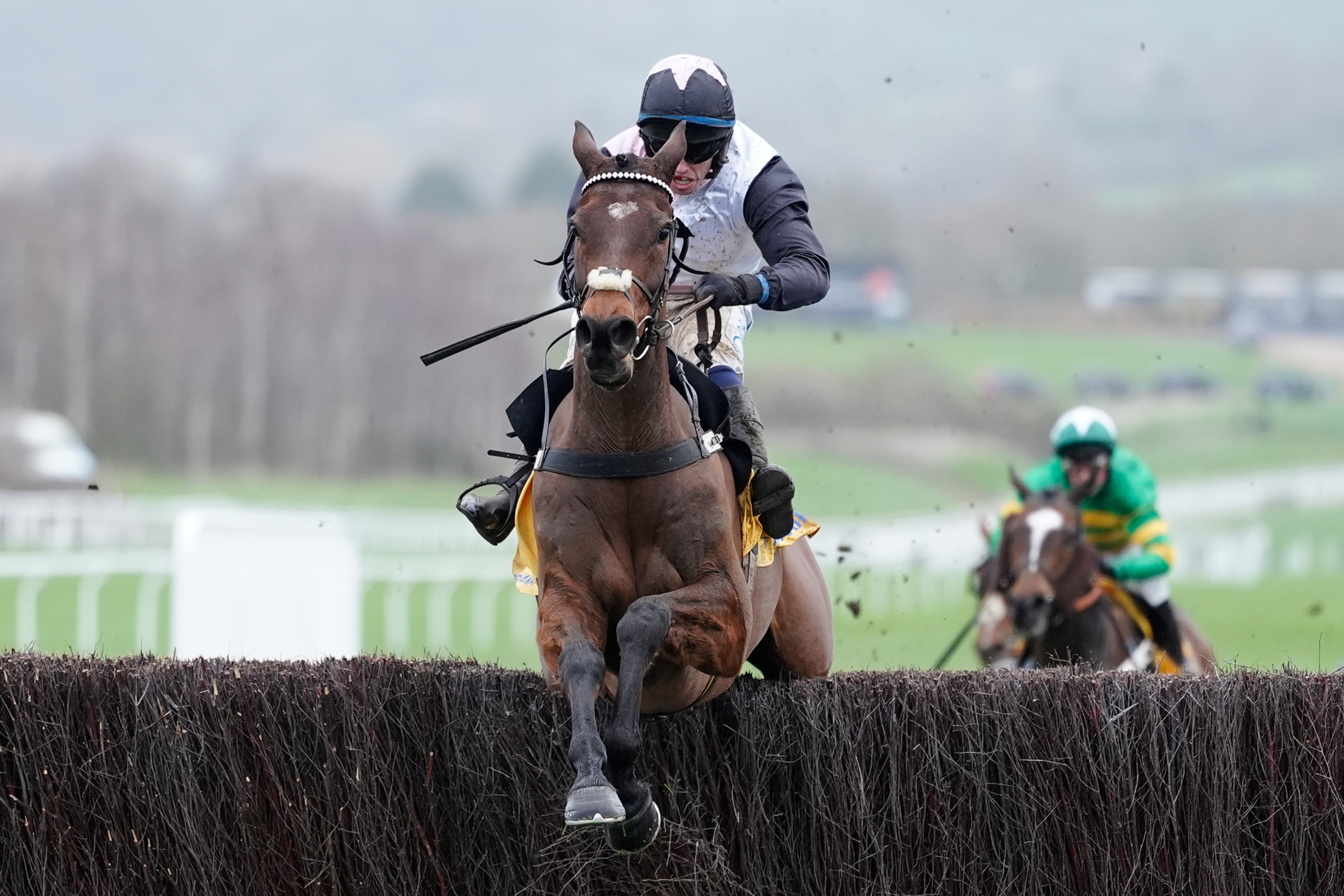 Henry de Bromhead’s Heart Wood has a good chance in the Remembering Envoi Allen Champion Chase