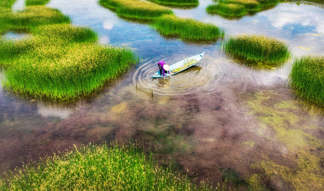 The Mekong is a transboundary river in East Asia and Southeast Asia
