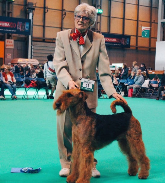 Mary Swash at Crufts