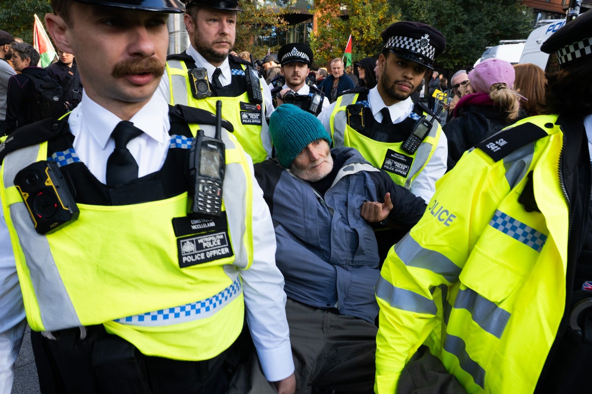 Dozens of arrests made as hundreds attend pro-Palestine Action protest outside US embassy - The Independent
