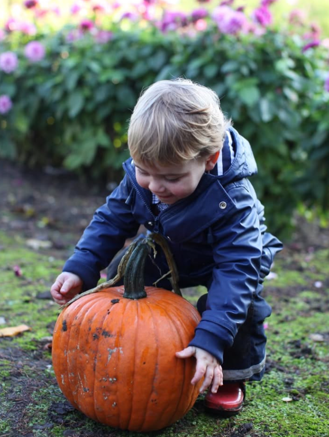 Princess Kate shares Halloween picture of Prince Louis for first time