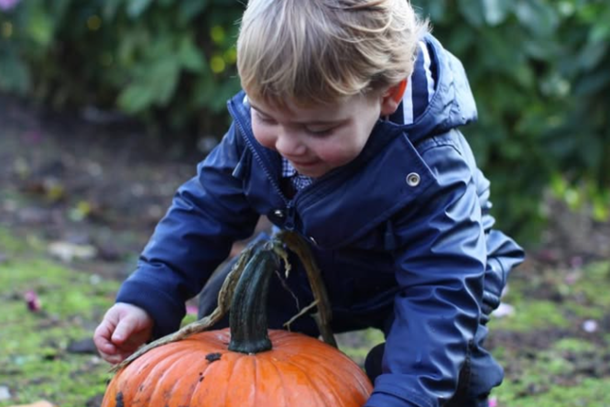 Princess Kate shares Halloween picture of Prince Louis for first time