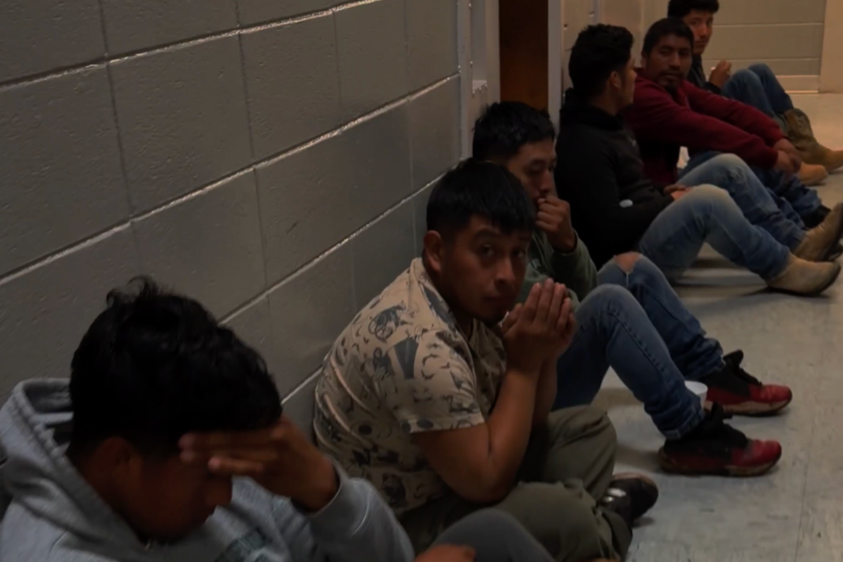 ICE posts Halloween video using Michael Jackson’s ‘Thriller’ over images of movie monsters and detained immigrants