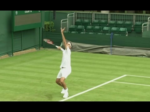 Wimbledon: A Beginner's Guide