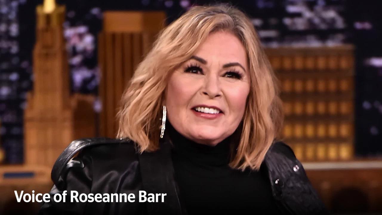 Roseanne Barr lashes out at former co-star Sarah Gilbert: 'She destroyed the show and my life'