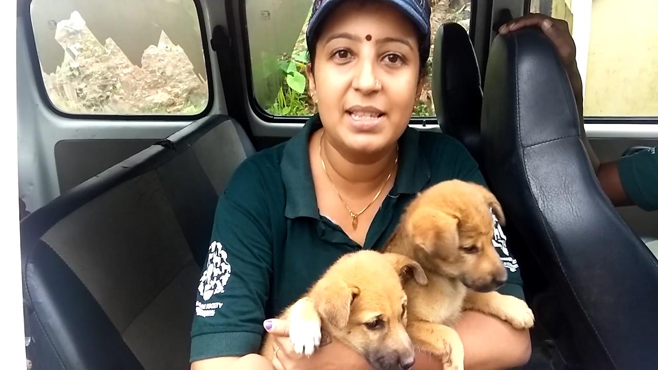 com kérala sexe sexe animaux com kérala sexe sexe animaux