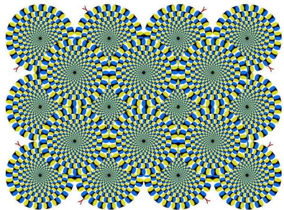 Eleven Of Our Favourite Mind Bending Optical Illusions Indy100 Indy100