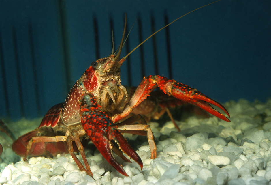 (Picture: Alamy