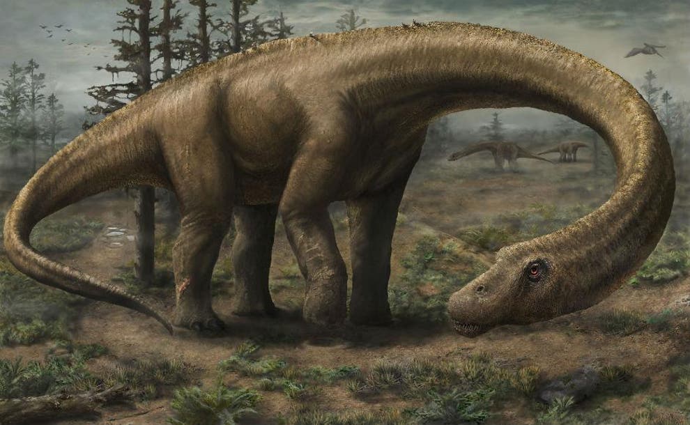 the newest dinosaur found