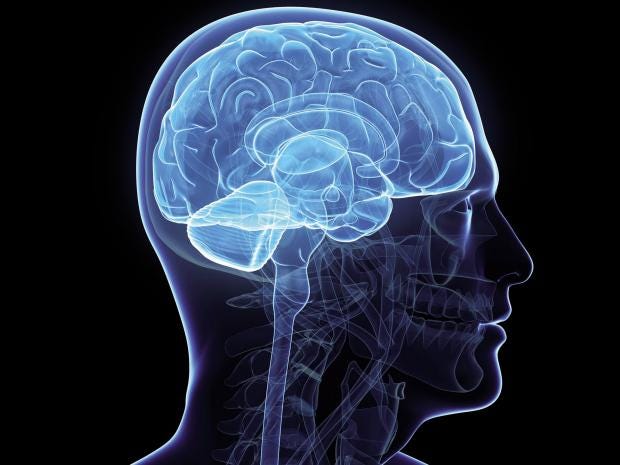 Is the right or left side of your brain more dominant