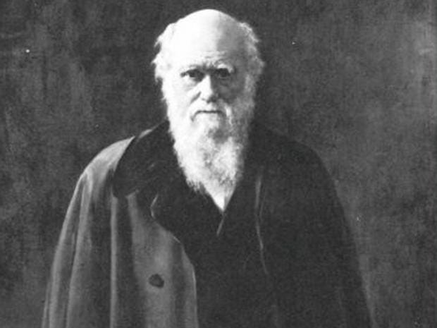 Page 3 Profile: Charles Darwin, Father Of Evolution | The Independent