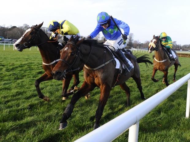 Pin By Suzie Mac Kenzie On Horses Horse Racing Horses Pictures Sport Of Kings